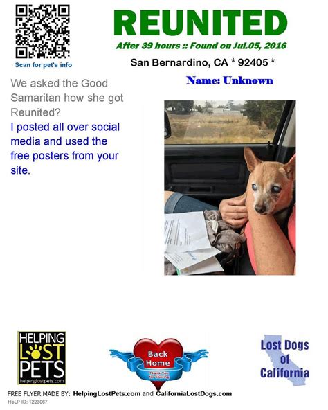 Mission Viejo Animal Shelter Lost Pets Fumiko Ireland