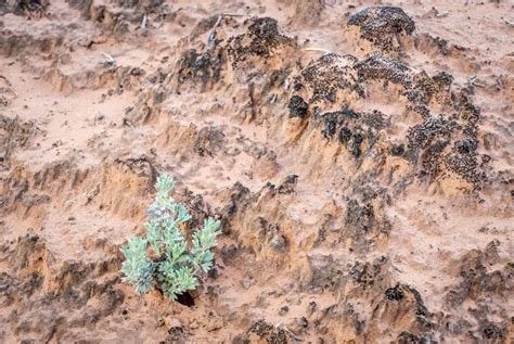 Nude Hiking How To Legally Celebrate Naked Hiking Day