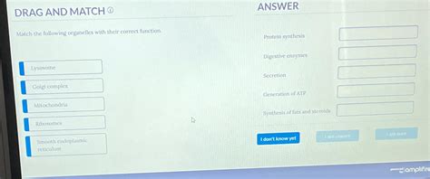 Solved DRAG AND MATCH (1)ANSWERMatch the following | Chegg.com