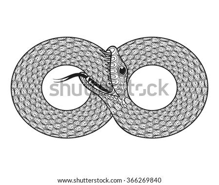 Snake Curled Infinity Ring Ouroboros Devouring Stock Vector