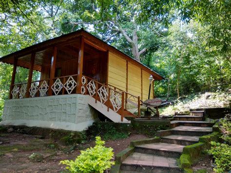 hut   forest pixahive