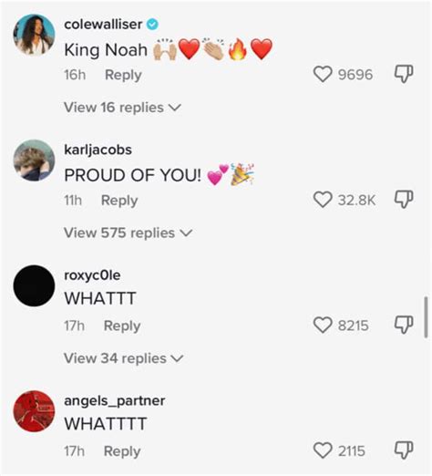 Stranger Things Star Noah Schnapp Comes Out As Gay In Viral Tiktok