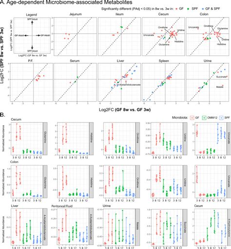Microbiota Alters The Metabolome In An Age And Sex Dependent Manner In Mice Pmc
