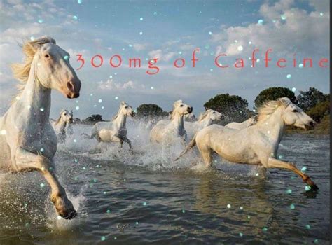 mg  caffeine rcaffeine