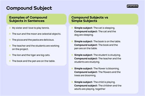 What Is A Compound Subject Definition And Examples Promova Promova Blog