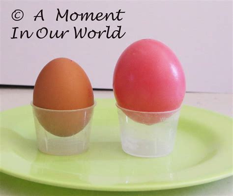 Naked Egg Science Experiment Simple Living Creative Learning