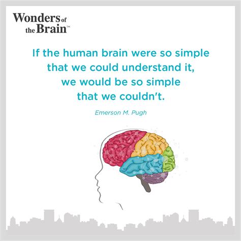 human brain   simple    understand  brain