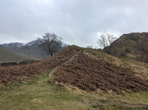 Naked Trees And The Hills Under The Gloomy Sky With Snowy Mountains In The Background Stock
