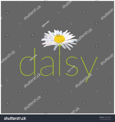 6,223 Daisy name Images, Stock Photos & Vectors | Shutterstock