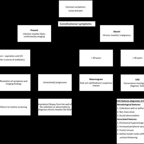 Algorithmic Approach To The Diagnosis Of Granulomatous Lobular