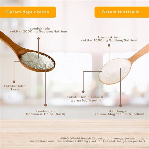garam dapur  garam sehat nutrisalin
