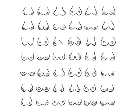 Hand Drawn Boobs Svg Bundle Tits Svg Collection Vector Cut Etsy