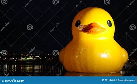 Giant Rubber Duck Stock Photography 159706916