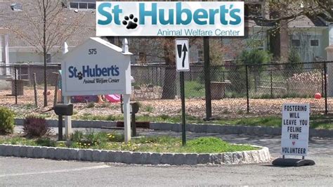 St Huberts Psa Virtual Tour Youtube