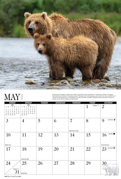 bears calendar silver creek press