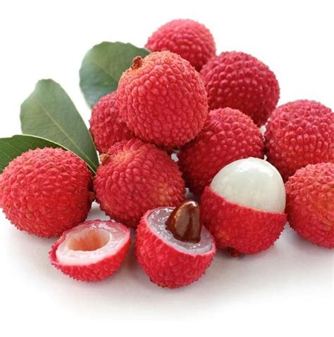 Preço Da Fruta Lichia - 12 Sementes De Lichia - Fruta - Litchia Chinensis - P/ Mudas | MercadoLivre