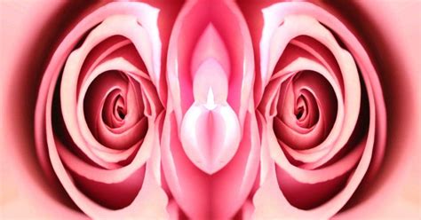 Saubere Vagina G Punkt Klitoris Schluss Mit Den Vagina Mythen Kurier At