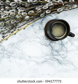 Pussy Willowmarble Images Stock Photos D Objects Vectors Shutterstock