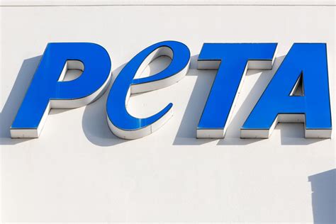 animal rights peta highlights absence  sexual violence provision
