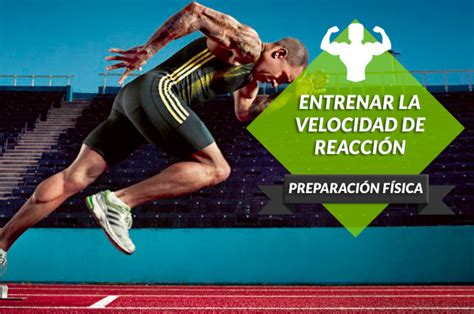 Ejercicios para entrenar la velocidad de reacción en el padel Zona