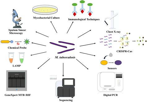 Frontiers Improved Conventional And New Approaches In The Diagnosis