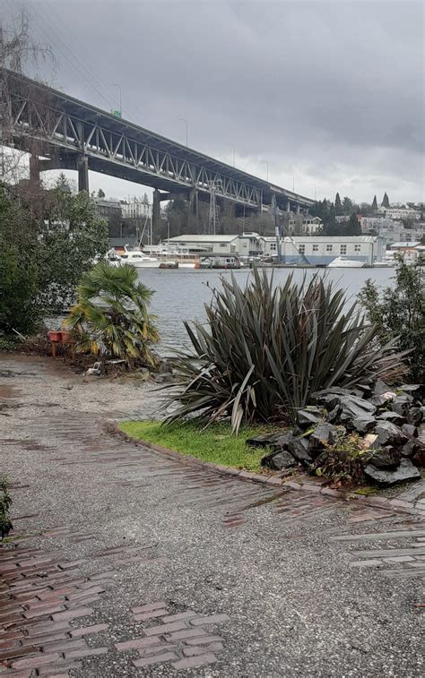 waterfront | Year of Seattle Parks