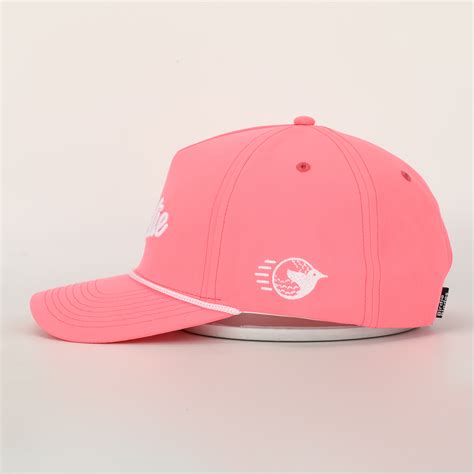 Bsci Custom 5 Panel 3d Embroidery Logo Quick Dry Dad Gorras Golf Sports