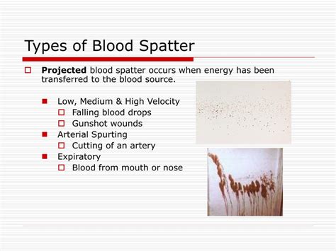 PPT - Blood and Blood Spatter PowerPoint Presentation, free download ...