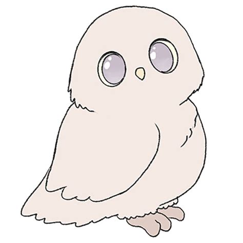 how to draw a owl cute