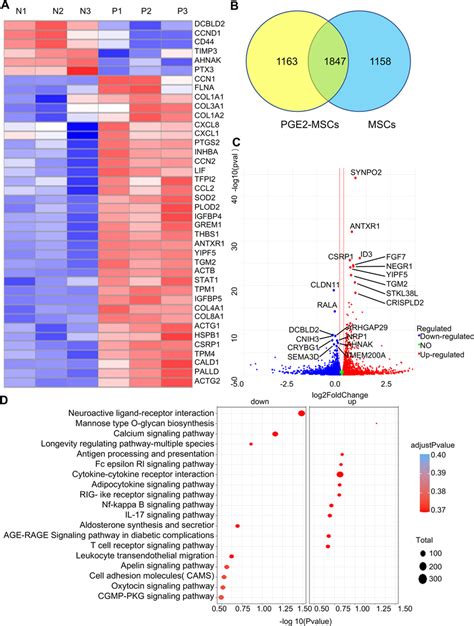 Rna Analysis Of Pge Mscs A Heatmap Of The Rna Seq Analysis Showing