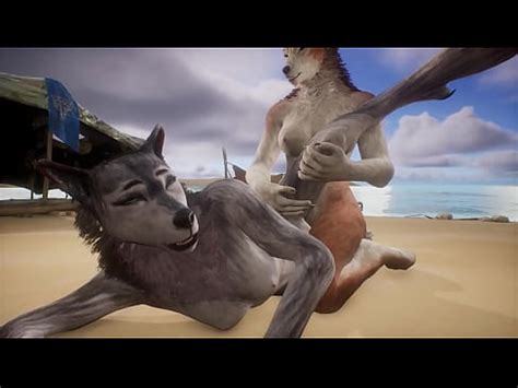 Two Wolves Play With Each Other On The Beach Wildlife Xvideos