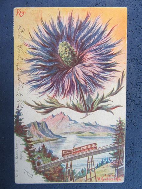 AK LU RIGI AB VITZNAU RIGI BAHN 1899 DISTEL Kaufen Auf Ricardo