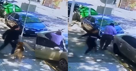 Mujer Agrede A Un Abuelito Que Le Reclam Por Las Heces De Su Perro