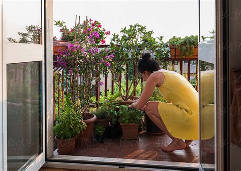 Woman Taking Care Of Plants On Her Balcony By Simone Wave Basil