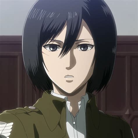 Mikasa Ackermann Animeimage Gallery Attack On Titan Wiki Fandom