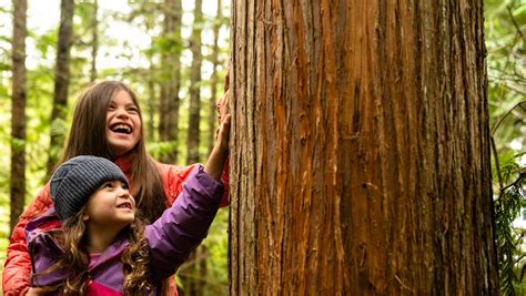 Natur Resilienz Trainer in für Kinder und Jugendliche Deutsche