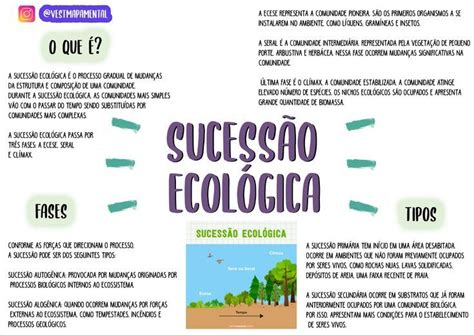 Mapa Mental Sucessão Ecológica - Mapas Mentais sobre Sucessão Ecológica | Sucessão ecológica mapa mental ...