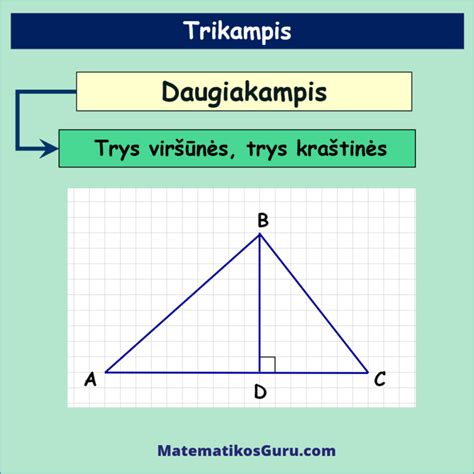 trikampio plotas skaiciavimas pavyzdys matematikos guru