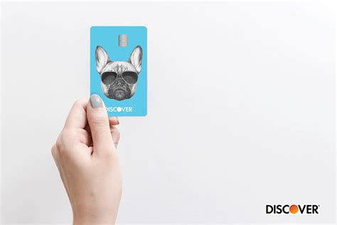 Discover Pug Card