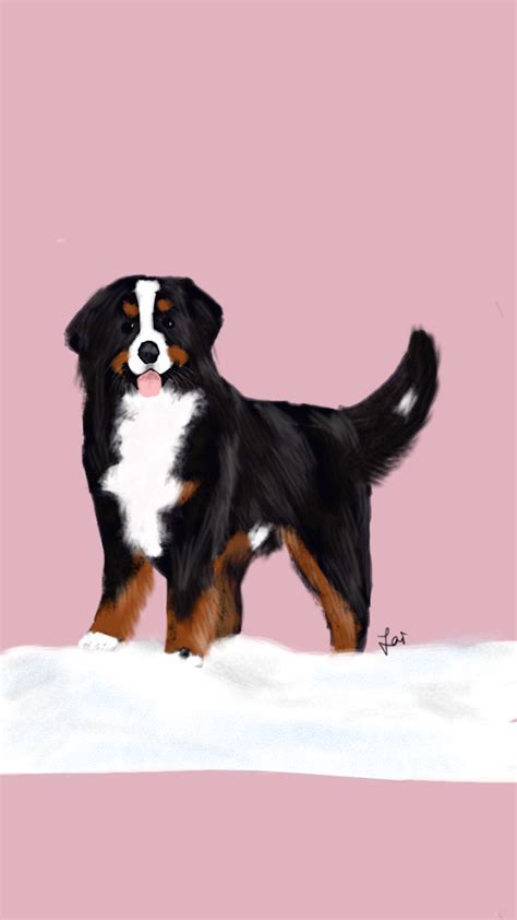 Digital dog drawing - handsome Bernese mountain dog on snow | Dog ...