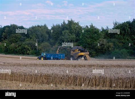 Combine Harvester Harvesting Barley In Oxfordshire Stock Photo Alamy