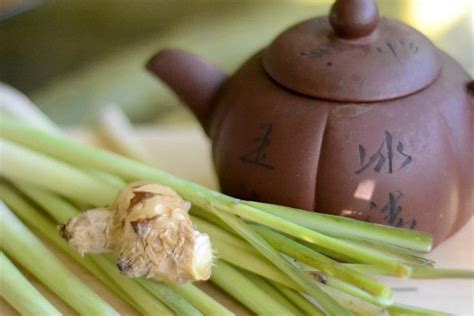 Лемонграсс: все полезные свойства знаменитой травы из Азии - гайд на Tea.ru