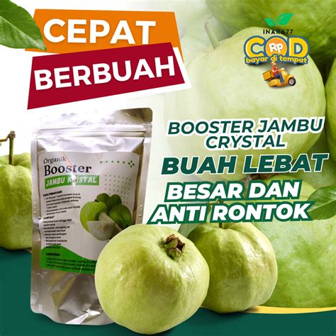 Jual Pupuk Jambu Kristal 250grm Pupuk Jambu Kistal Agar Cepat Berbuah