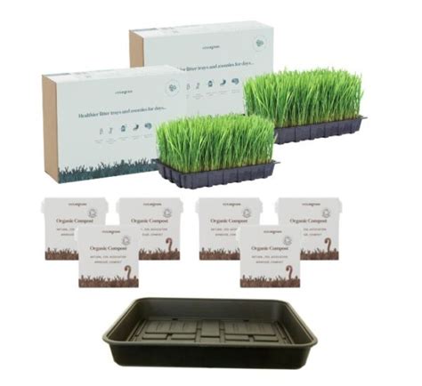 Cat Grass Bed My Cat Grass
