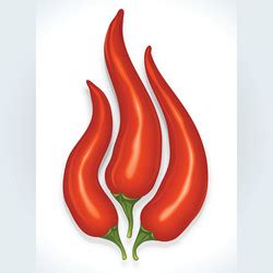 Hot Chilli Pepper Set Isolated On White Royalty Free Vector