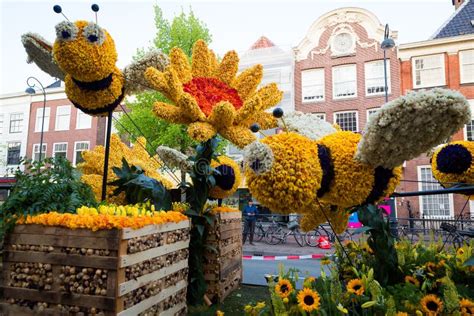 Platforms Decorated With Flowers On Bloemencorso Bollenstreek Flower