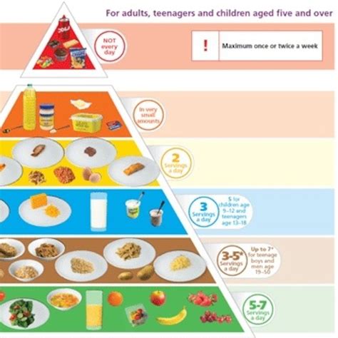 The Food Pyramid Montessori For Everyone 1