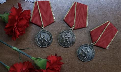 В Архангельской области начали вручать нагрудные знаки и удостоверения ...