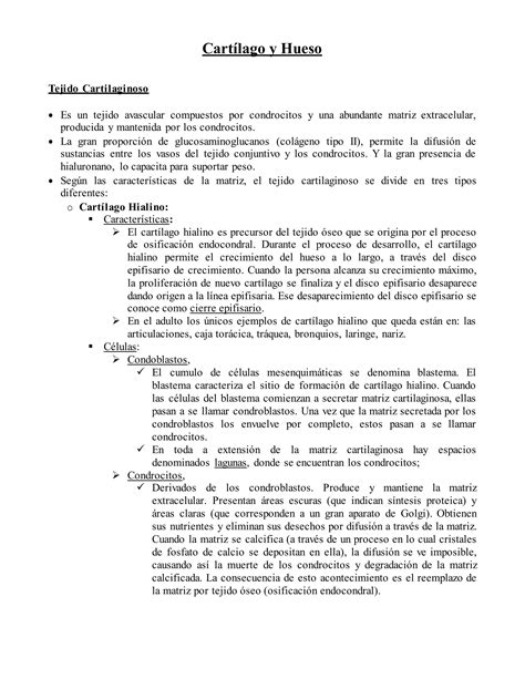 Resumen De Histología De Cartilago Y Hueso Histología De Ross 7ma Ed Pdf Descarga Gratuita