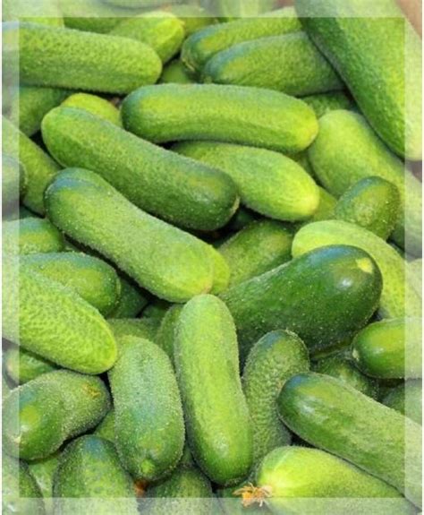 Огурцы луховицкие 1кг в Москве, цены: купить Огурцы с доставкой